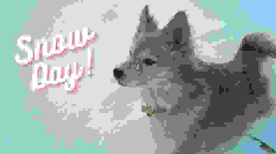 The Sewing Basket Quilt Shop Home